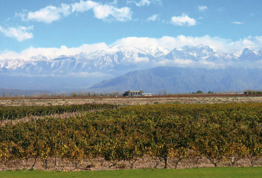 Mendoza - Kunst, Kultur & Kulinarik unter argentinischer Sonne